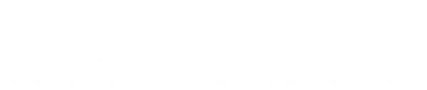 SKYDOLL logo